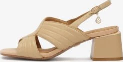 Kazar Sandalen Met Hak Sandaal Dames Beige