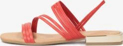Kazar Sandalen Met Bandjes Sandalen Met Riem Dames Watermeloen Rood