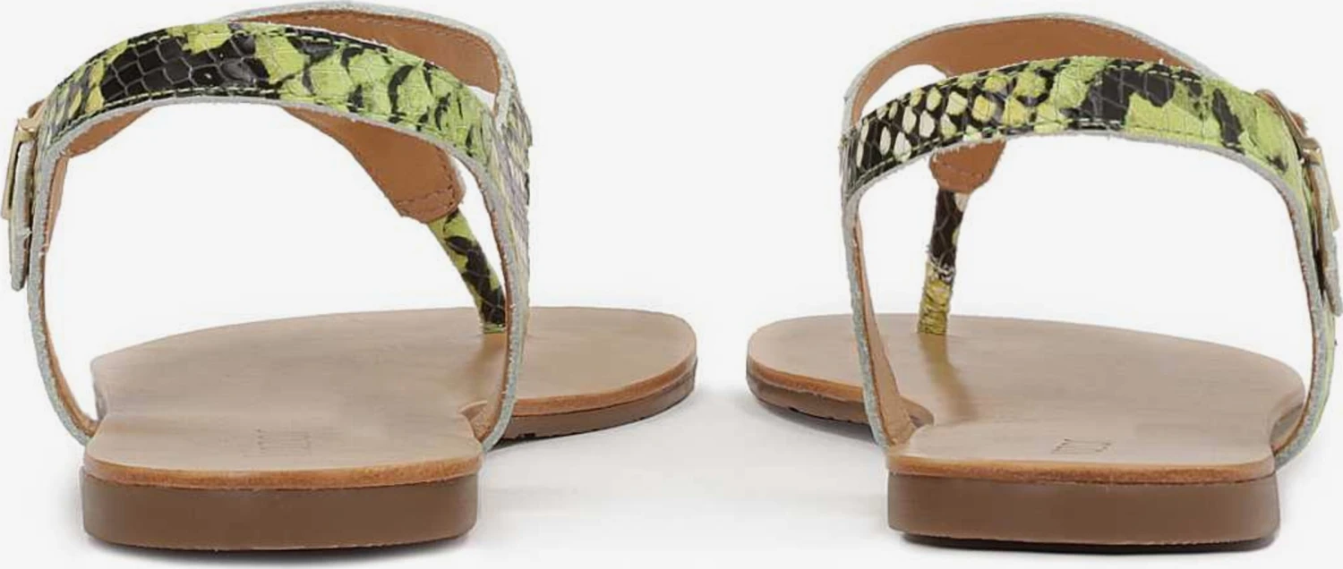 Kazar Slippers Teenslipper Dames Groen - Afbeelding 4